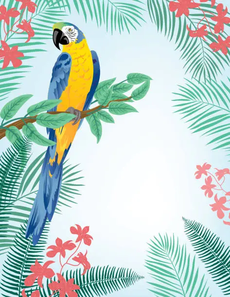 Vector illustration of Brightly Colored Tropical Background Invitation Template With Parrot And Room For Text