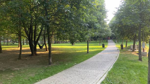 istock Footpath made of cubical stone in the park 1408662283