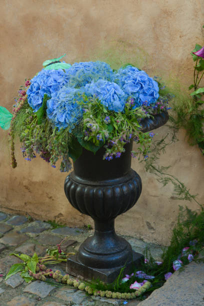 istock Blue hydrangea flowers in a black vase 1408665767