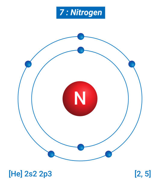 N Nitrogen Element Information - Facts, Properties, Trends, Uses and comparison Periodic Table of the Elements, Shell Structure of Nitrogen - Electrons per energy level N Nitrogen Element Information - Facts, Properties, Trends, Uses and comparison Periodic Table of the Elements, Shell Structure of Nitrogen - Electrons per energy level nitrogen element stock illustrations