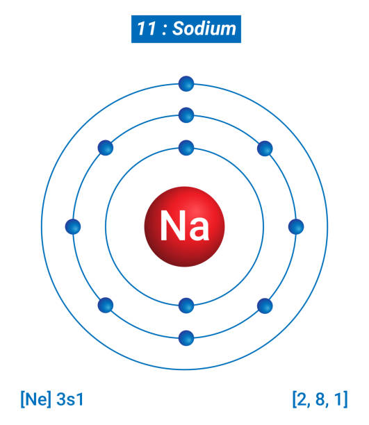Sodium In Shell 5,100+ Sodium Stock Illustrations, Royalty-Free Vector Graphics & Clip ...