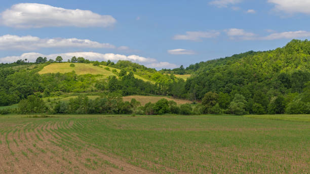 istock Green Hills Landscape 1408668397