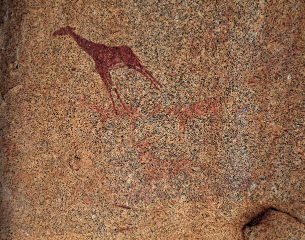 pintura rupestre prehistórica de una jirafa - erongo fotografías e imágenes de stock