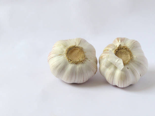 istock Two heads of garlic on white background 1408672784