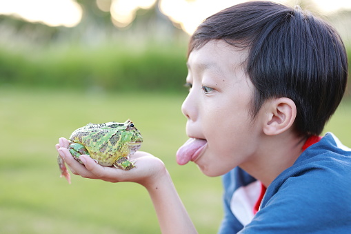 Asia boy Holding Frog