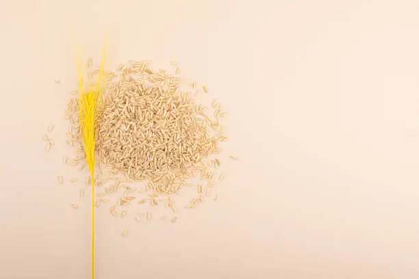 Brown rice is scattered in a minimalist style, on a beige-color background. Top view.