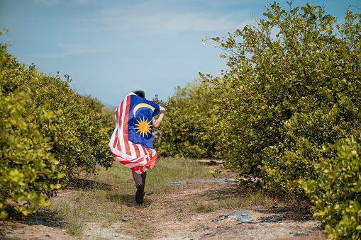 Asian Chinese teenager boy holding Malaysia flag running in lime plant farm