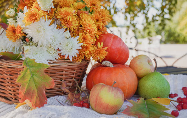 istock Beautiful autumn fall composition with bench, basket with white and orange chrysanthemums, pumpkins and fruits. Concept of Thanksgiving day or Halloween. Autumn background. 1408679298