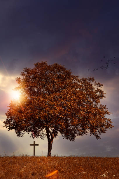 istock Wooden cross at sunset 1408686488