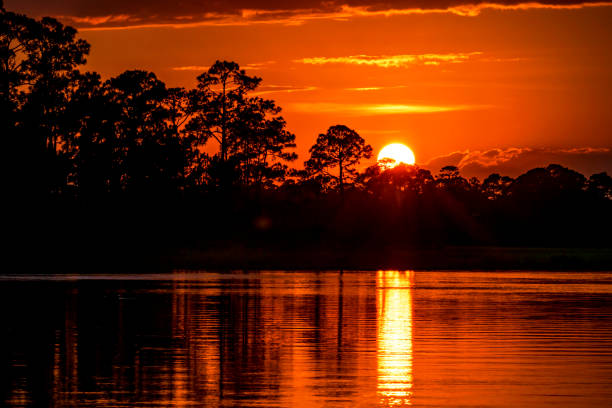 istock Sunset reflected in marshes near Charleston, SC. 1408689245