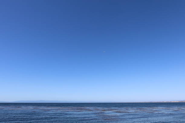 istock Lookout over Pacific Ocean on Sunny day 1408694124