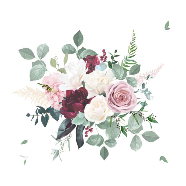 illustrazioni stock, clip art, cartoni animati e icone di tendenza di rosa rosa arrossata, peonia rosso bordeaux, ranuncolo, ortensia, magnolia fiori vettoriale bouquet - magnolia flower beige white