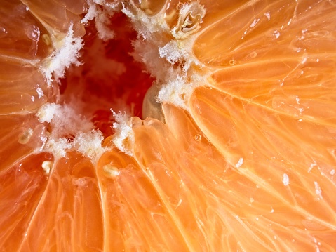 Texture and detail of red ruby grapefruit. A close up image depicting the succulent texture of this sweet and popular citrus fruit.