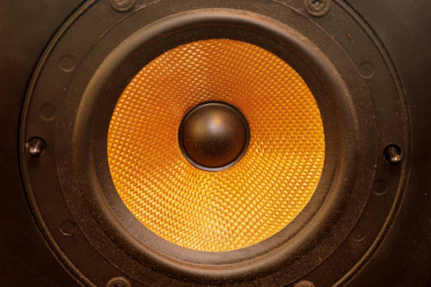 Vintage Isolated Mid-Range Loudspeaker Driver Details