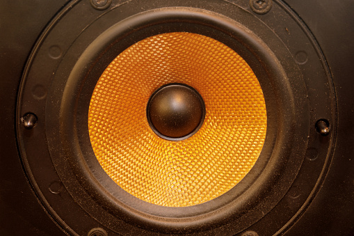 Vintage Isolated Mid-Range Loudspeaker Driver Details