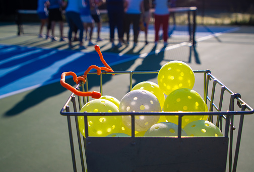 People line up on a Pickleball court for a clinic with a basket of balls in the foreground.