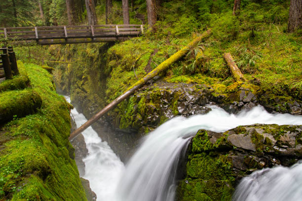 istock Waterfall flowing into a narrow gorge below a wooden footbridge 1408709390