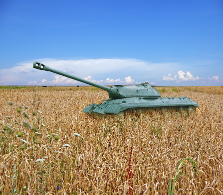 Old tank on a field of yellow wheat and blue sky with clouds on the horizon. The concept of war in Ukraine