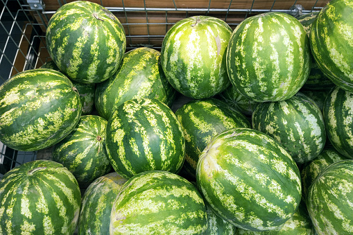 Watermelons in a bunch on the counter of the store.