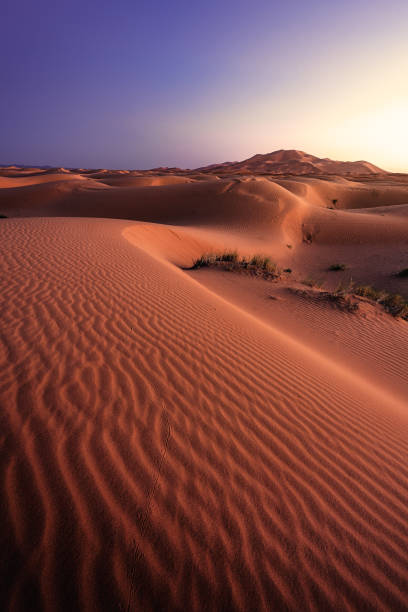 istock DUNES IN MERZOUGA, SAHARA DESERT 1408711935