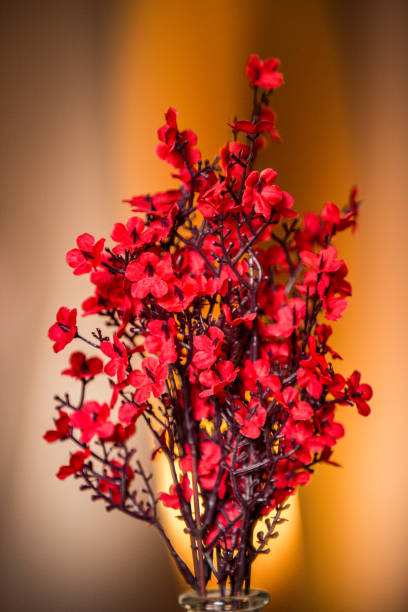 istock Brazilian tropical flowers and plants 1408712651