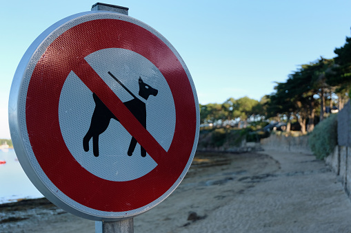 Sign announcing the prohibition of dogs on a beach