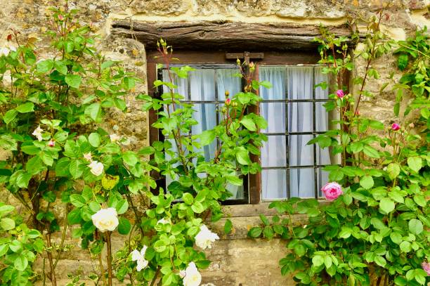 16th century stone terrace or townhouses