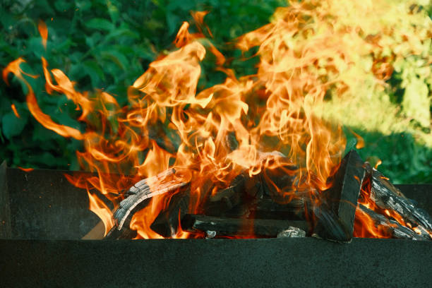 A brightly burning fire in the brazier against the background of trees. BBQ campfire made from dry wood. Bright yellow campfire