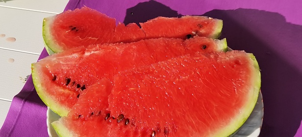 Three delicious juicy watermelon slices