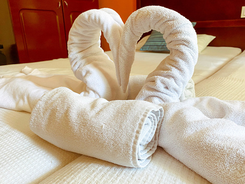 rest by the sea in an expensive hotel. when cleaning the room, the worker laid out swans from white towels in the shape of a heart.