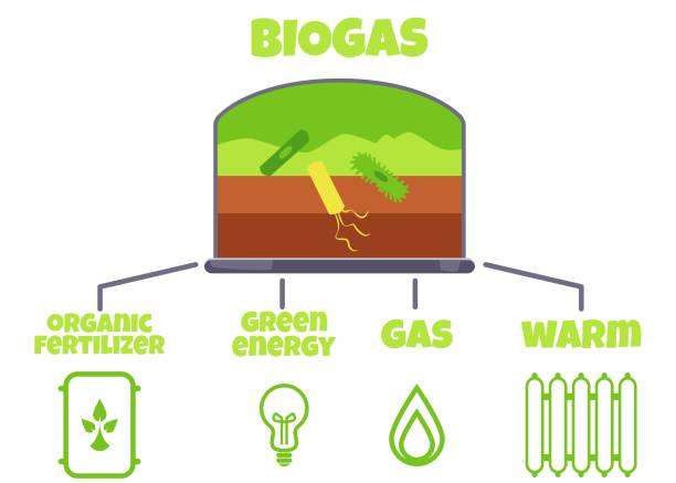 biogasverbrauch im energieverbrauch, cartoon-infografik, flache vektorillustration auf weißem hintergrund. - anaerobic stock-grafiken, -clipart, -cartoons und -symbole