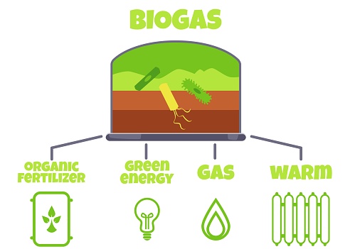 Biogas usage in energy consumption, cartoon infographic, flat vector illustration on white background. Anaerobic digestion product division for organic fertilizer, green energy, gas and warmth.