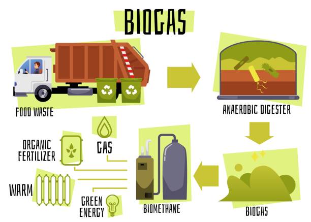 ilustrações, clipart, desenhos animados e ícones de processo de produção de biogás desde coleta de resíduos alimentares até digestão anaeróbica e produção de biometano. - digester