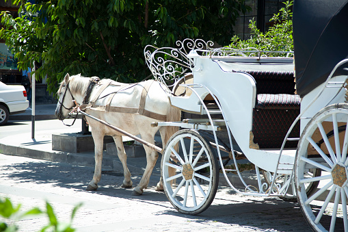 Old carriage touristic attraction in  Gyumri, Armenia