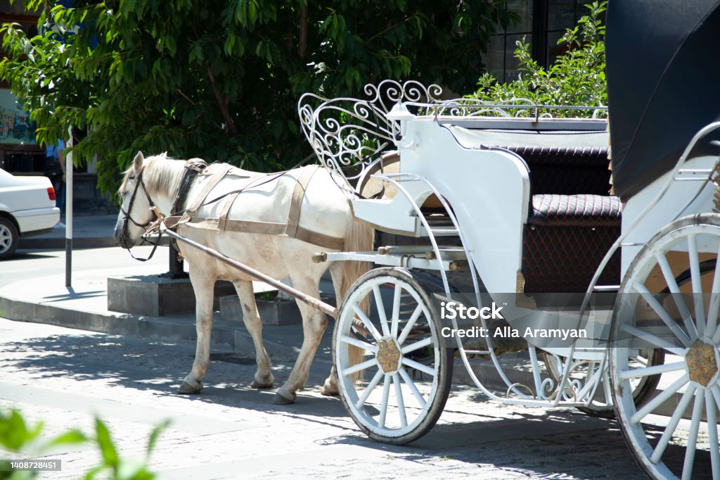 Old carriage touristic attraction in  Gyumri, Armenia Adulation Stock Photo