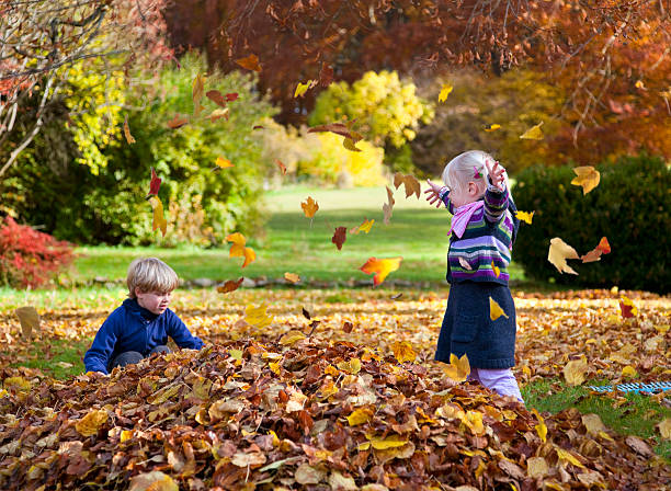 crianças jogar na pilha de folhas - preschooler autumn beautiful blond hair imagens e fotografias de stock