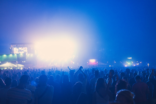 Cheering crowd enjoying at music festival