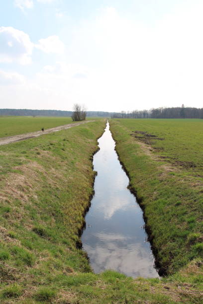 istock Ditches in a peet bog in northern Germany 1408732811