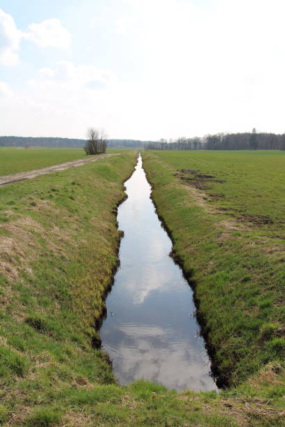 istock Ditches in a peet bog in northern Germany 1408732812