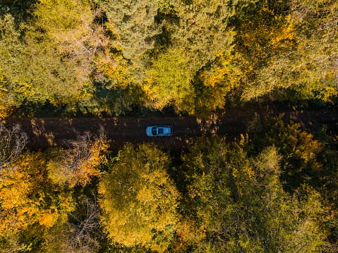 overhead view of the car moving by road in autumn forest copy space