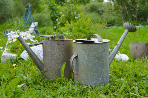 istock Two old metal watering cans stand on the grass in summer 1408734387