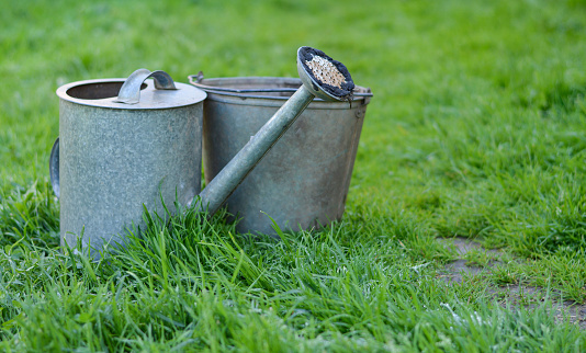 old metal watering can and a bucket stand on the grass in summer against the background of white daisy flowers