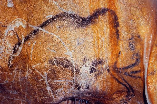 mamut rysujący się na ścianie jaskini chauvet, francja - graffiti surface level color image paint zdjęcia i obrazy z banku zdjęć