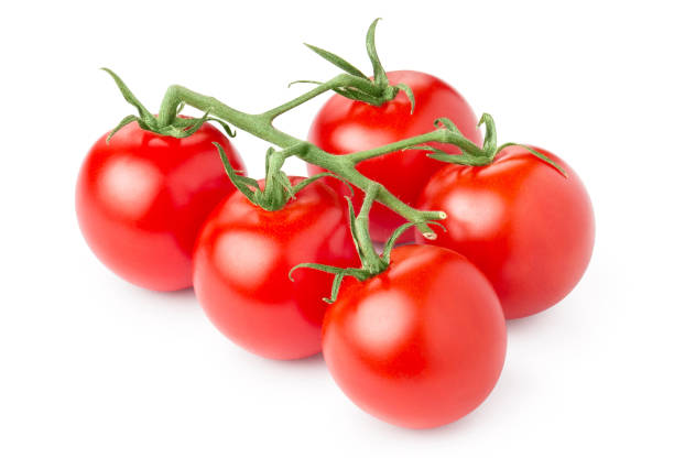 Branch of delicious fresh tomatoes on white