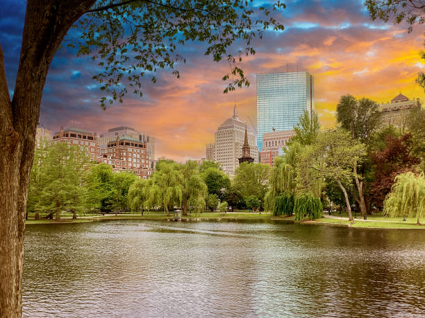 odbijający staw w boston public garden, boston, massachusetts - boston massachusetts new england tree zdjęcia i obrazy z banku zdjęć