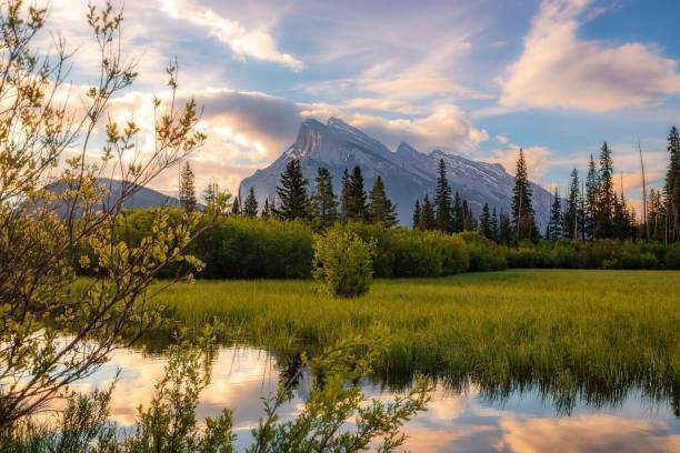 istock Sunrise Clouds Over Mountains At Vermilion Lakes 1408748237