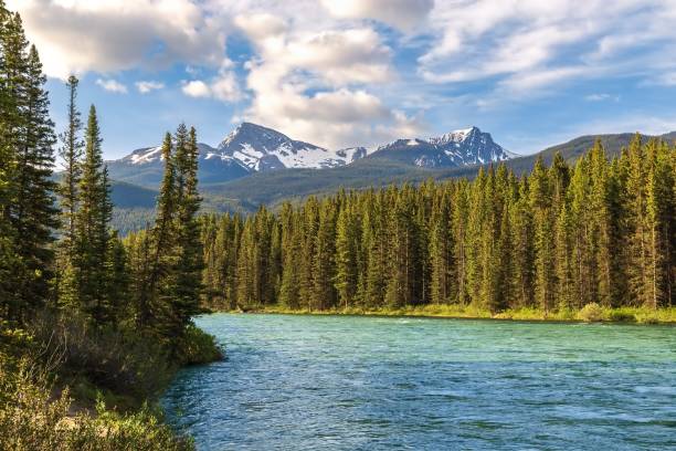 istock River Flowing Through The Mountains And Trees 1408748297