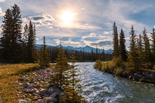 istock Sunny Sky Glowing Over Banff Mountains And River 1408748414