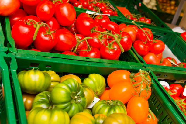 A vibrant display of assorted heirloom tomatoes, including red, yellow datterino, and green varieties, sold in plastic containers at a fresh produce stall in the Rialto Market in Venice.
