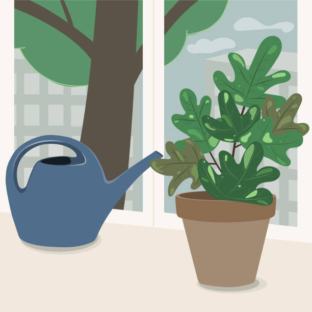 Flowerpot on the windowsill illustration Vector illustration zills stock illustrations